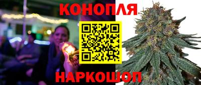 СК Краснознаменск