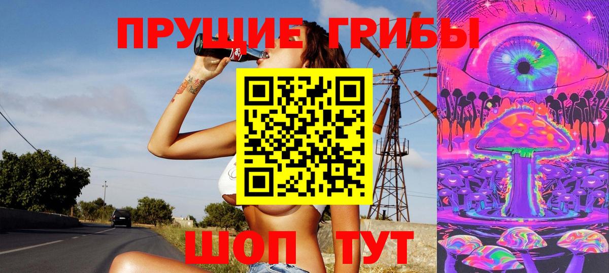 Псилоцибиновые грибы Psilocybine cubensis  Вход с VPN  Чебаркуль 